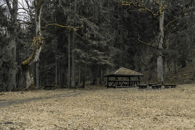 Picnic area with benches and wooden table in the woods.