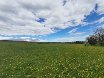 Scenic view of grassy field against cloudy sky