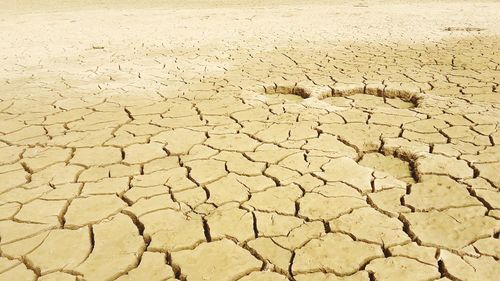 Full frame shot of cracked landscape