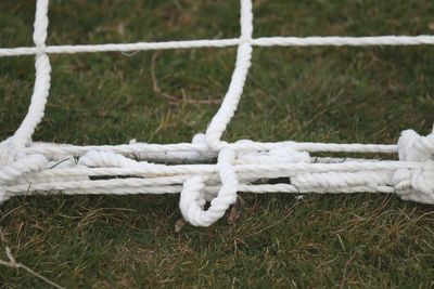 Close-up of rope tied on field