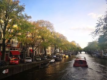 Canal amidst trees in city against sky