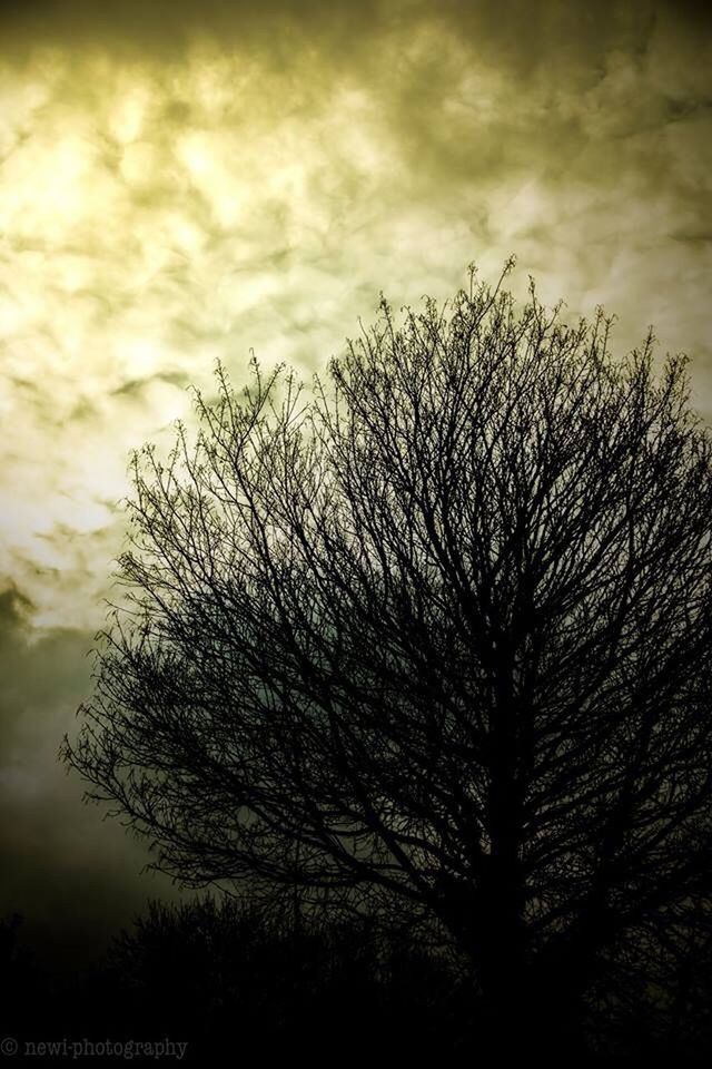 bare tree, tree, sky, branch, silhouette, cloud - sky, tranquility, low angle view, cloudy, beauty in nature, tranquil scene, nature, scenics, sunset, dusk, cloud, outdoors, growth, no people, weather