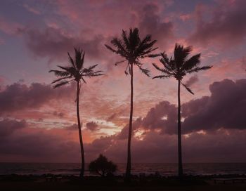 Silhouette palm trees on beach against sky during sunset