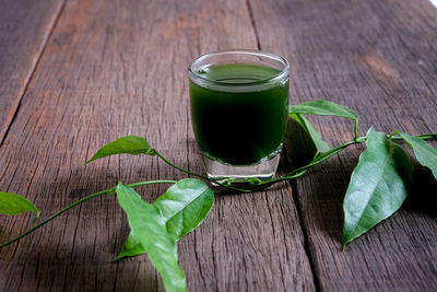 High angle view of green leaves on table