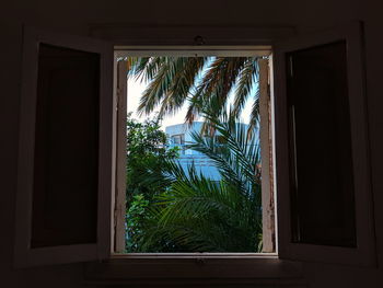 Trees and plants seen through window of building