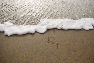 Close-up of snow on beach