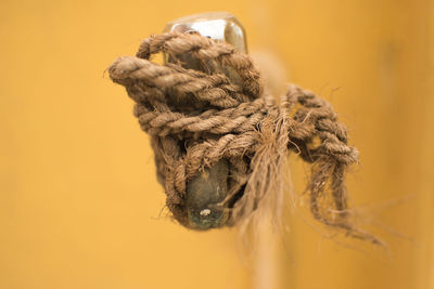 Close-up of rope tied up on metal