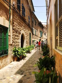 Potted plants on alley amidst buildings in city