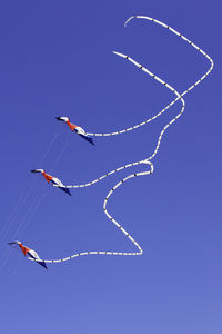 Low angle view of birds flying in sky