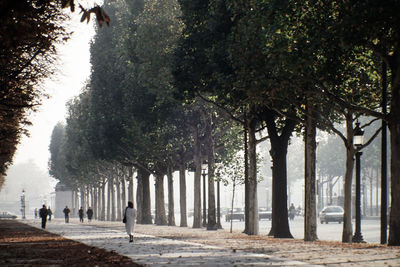 People walking in champs-Élysées