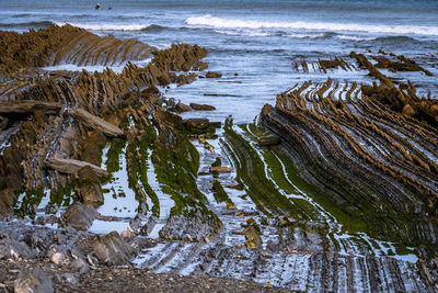 Scenic view of sea