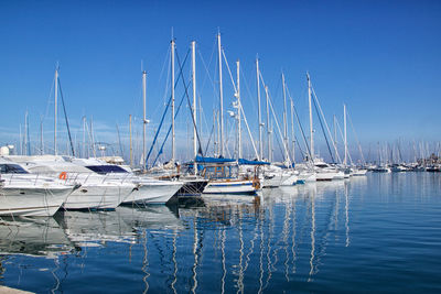 Sailboats moored on sea against blue sky