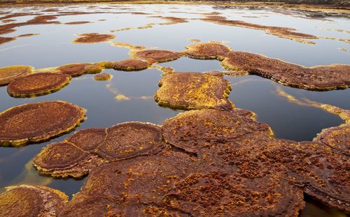 Panorama of surreal colors created by sulphur springs in the hottest place on earth, ethiopia.