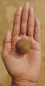 Close-up of hand holding kadam fruit