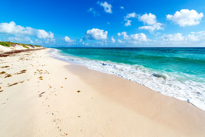 Scenic view of beach against blue sky