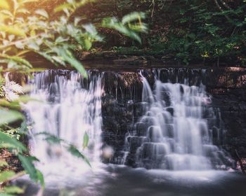 Close-up of waterfall in forest