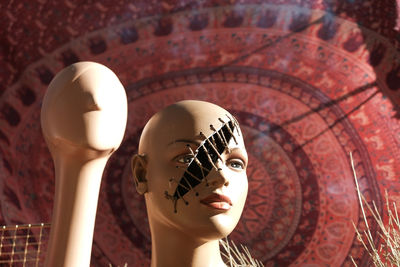 human representation