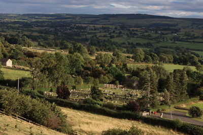 High angle view of trees on landscape against sky