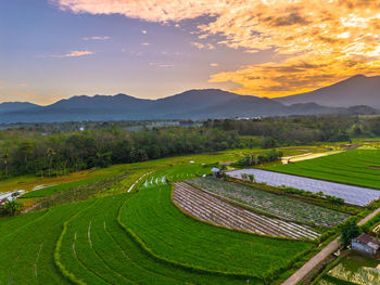 landscape