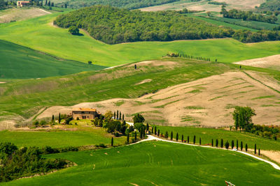 Scenic view of green landscape and houses