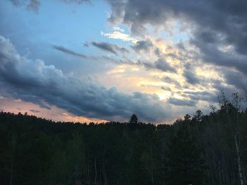 Silhouette trees in forest against sky at sunset