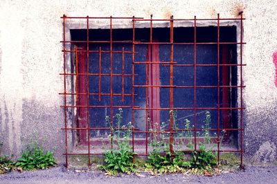 View of brick wall