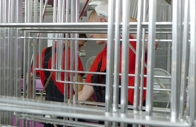 Portrait of boy looking through metal in cage