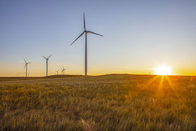 Wind farm at sunset with sun flare shining on a wheat field