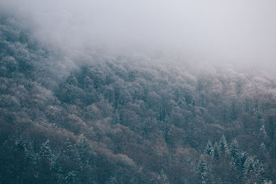 High angle view of forest against sky during winter