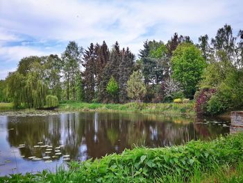 Scenic view of lake by trees against sky