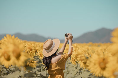 Rear view of woman photographing while standing amidst sunflower field