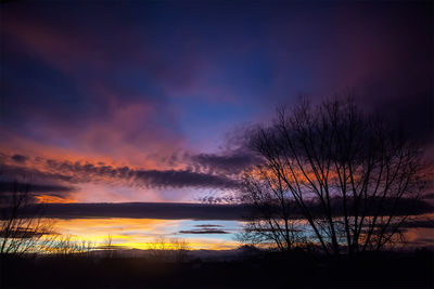 Silhouette of trees at sunset