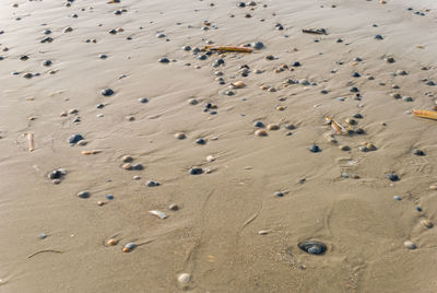 High angle view of footprints on sand at beach