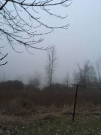 Bare trees on landscape against sky