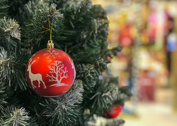 Close-up of christmas decorations hanging on tree