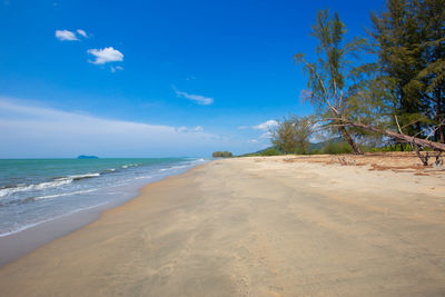 Scenic view of beach against blue sky