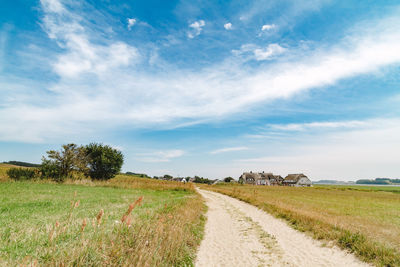 Dirt road passing through field