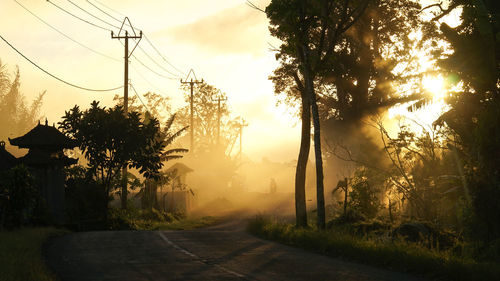 Trees by road against sky during sunset