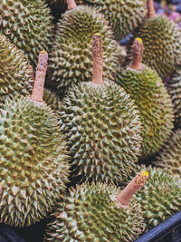 Durian, king of fruit the signature in thailand