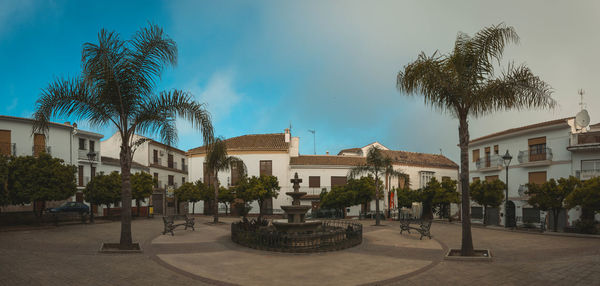 Palm trees and buildings against sky