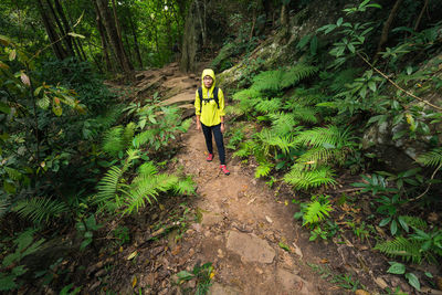 Portrait of female hiker standing on footpath amidst trees at forest