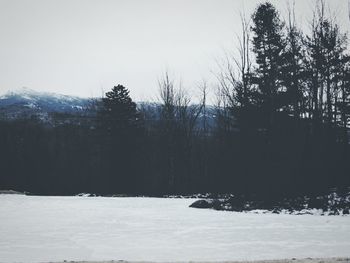 Scenic view of mountain