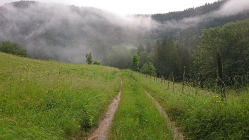 Panoramic view of agricultural field against sky