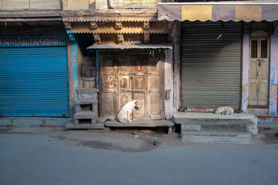 View of a building