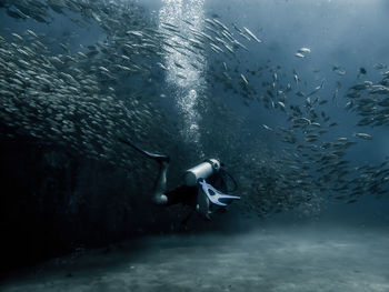 Man scuba diving undersea