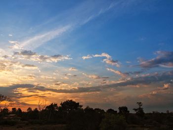 Low angle view of silhouette trees against sky during sunset