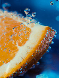 Close-up of orange fruit in water