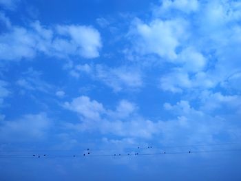 Low angle view of birds flying in sky