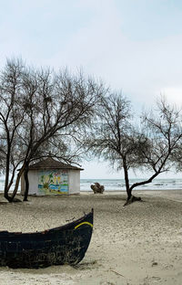 Bare trees on beach against sky