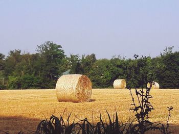 Hay bales on field against sky